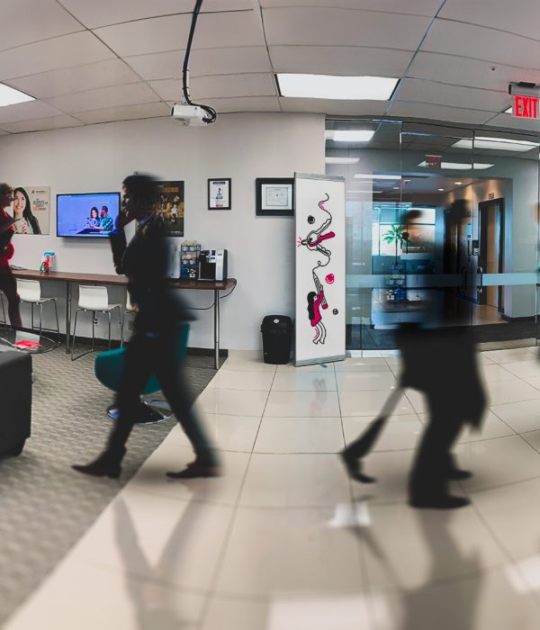 Terratino Brand by Kreathink